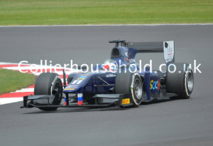 Sam Bird pleased the home crowd with victory